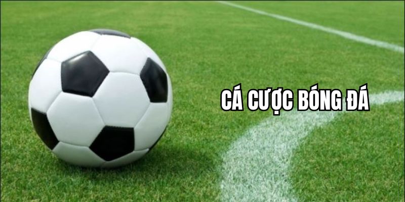 Tìm Hiểu Cá Cược Bóng Đá